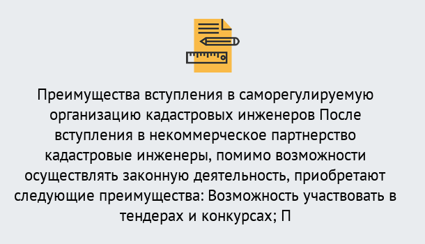 Почему нужно обратиться к нам? Зеленодольск Что дает допуск СРО кадастровых инженеров?