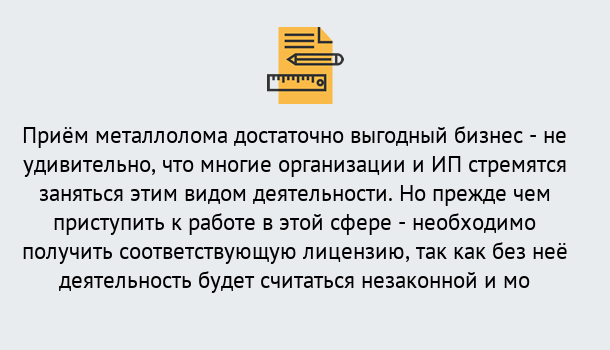 Почему нужно обратиться к нам? Зеленодольск Лицензия на металлолом. Порядок получения лицензии. В Зеленодольск