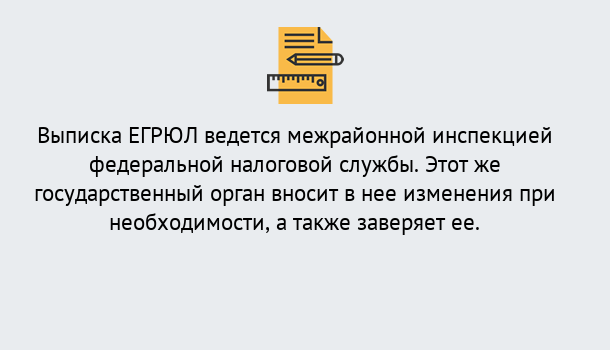 Почему нужно обратиться к нам? Зеленодольск Выписка ЕГРЮЛ в Зеленодольск ?