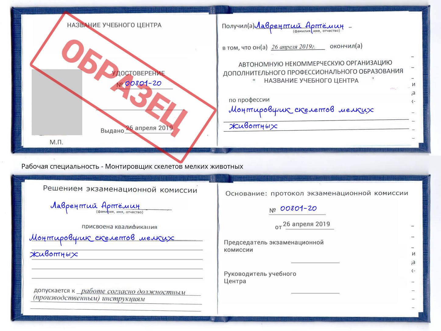 Монтировщик скелетов мелких животных Зеленодольск