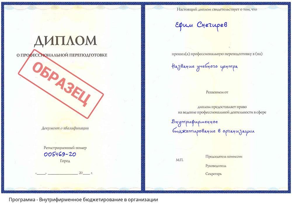 Внутрифирменное бюджетирование в организации Зеленодольск