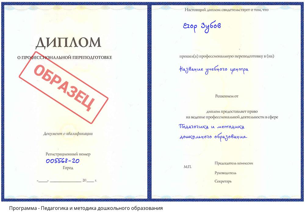 Педагогика и методика дошкольного образования Зеленодольск