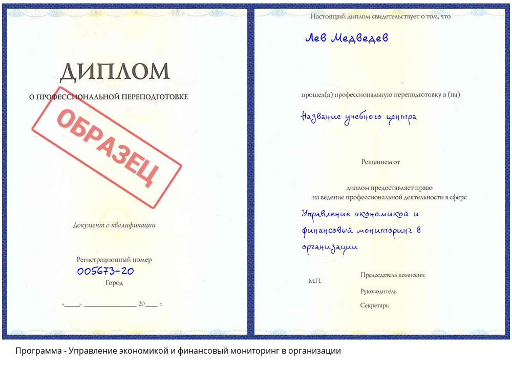 Управление экономикой и финансовый мониторинг в организации Зеленодольск