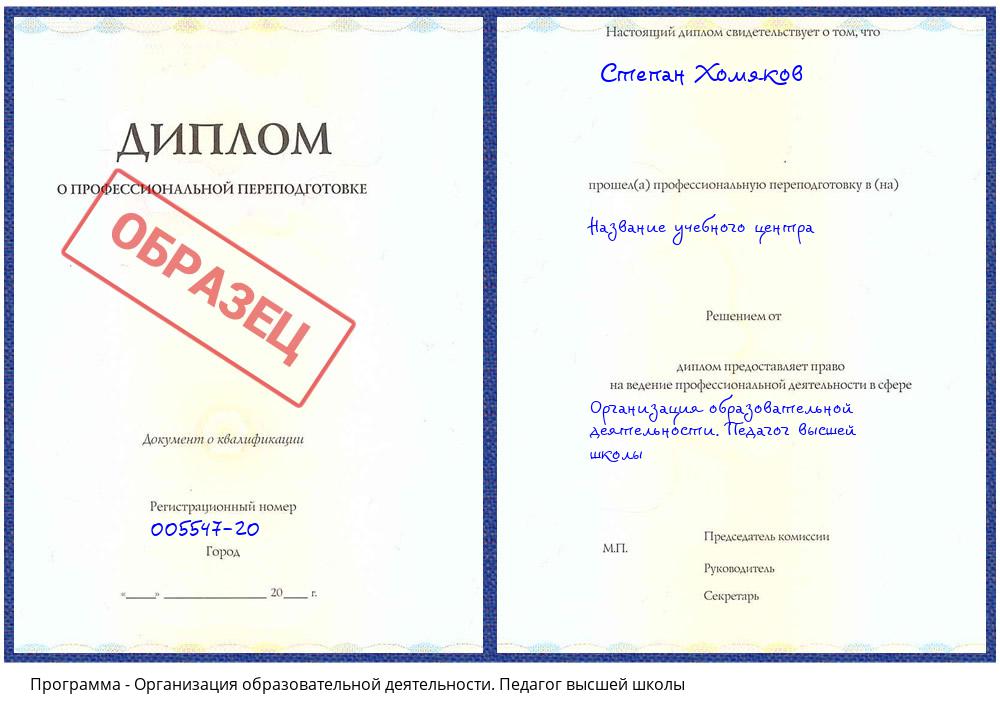 Организация образовательной деятельности. Педагог высшей школы Зеленодольск
