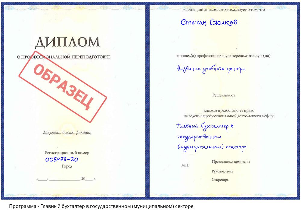Главный бухгалтер в государственном (муниципальном) секторе Зеленодольск