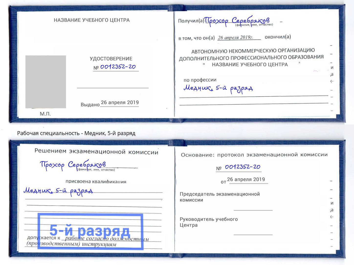 корочка 5-й разряд Медник Зеленодольск