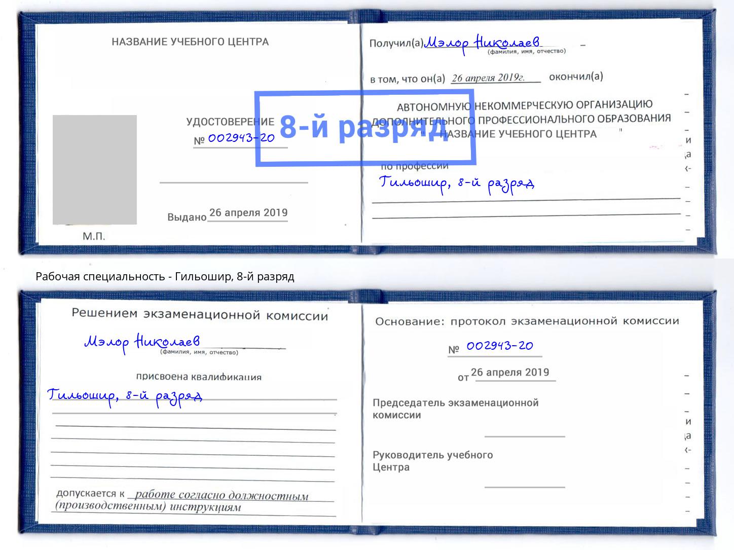 корочка 8-й разряд Гильошир Зеленодольск